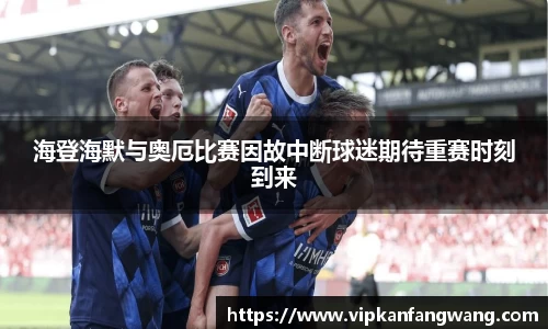 海登海默与奥厄比赛因故中断球迷期待重赛时刻到来